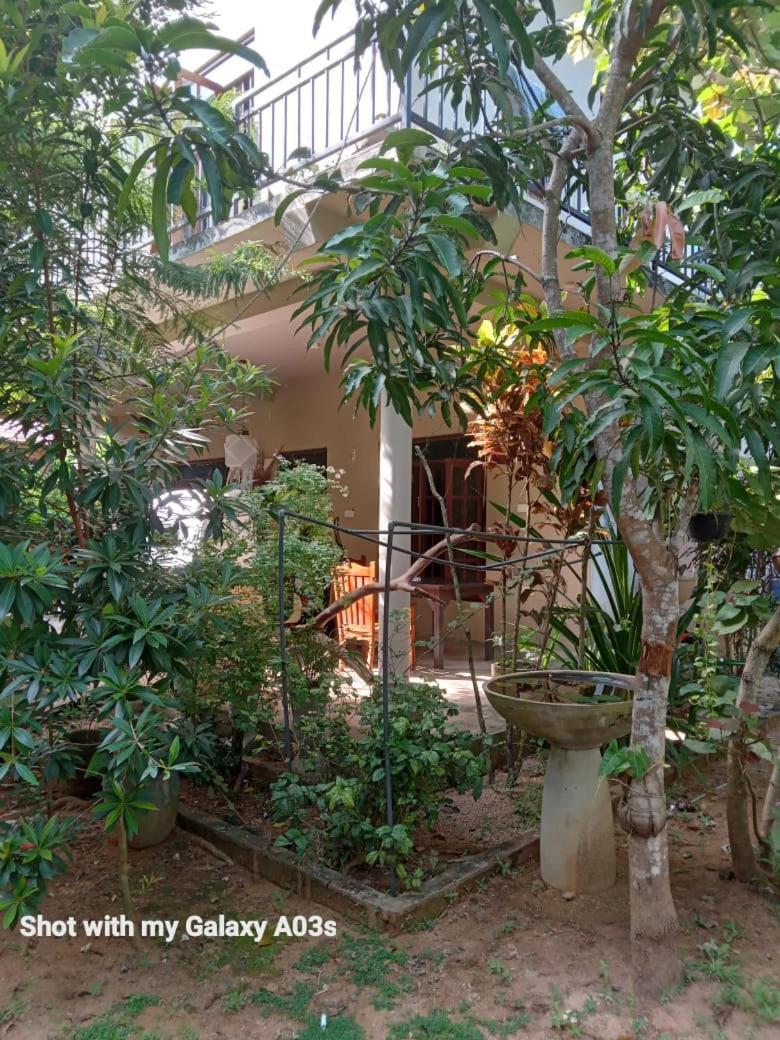 Bamboo Grove Villa Tangalle Dış mekan fotoğraf